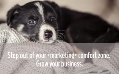 How to Feel Comfortable Marketing Your Coaching Services (So You Can Grow Your Business)