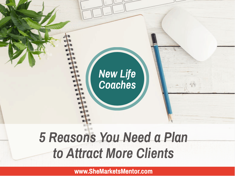 Attract More Clients | She Markets Mentor